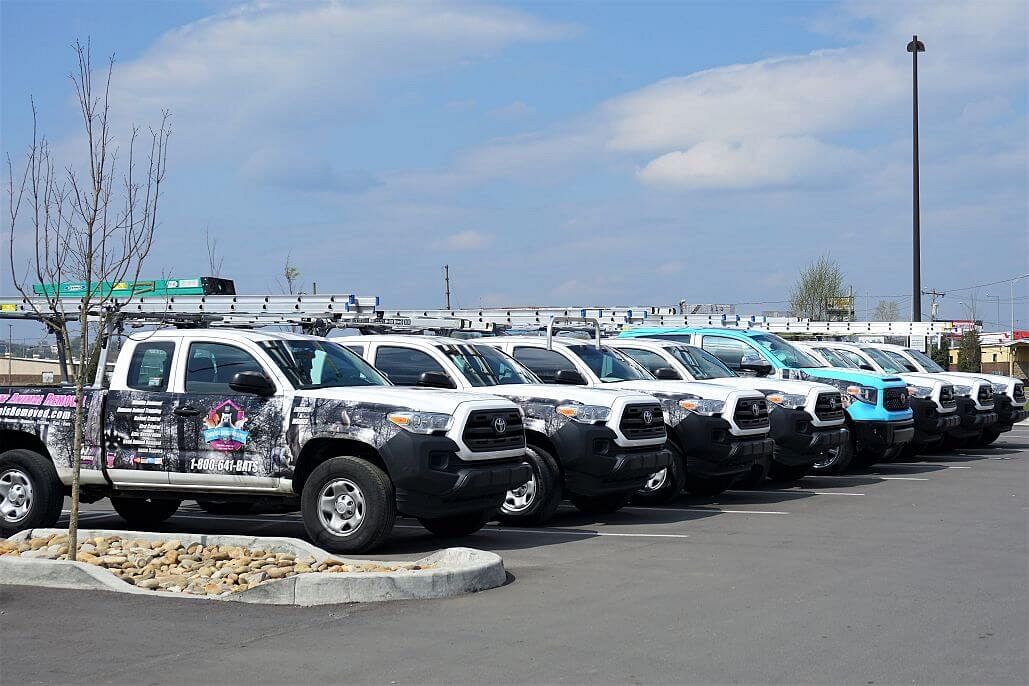 Animal Removal Services & Wildlife Trapping in Nashville TN, Louisville