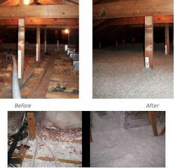 Attic insulation removal service